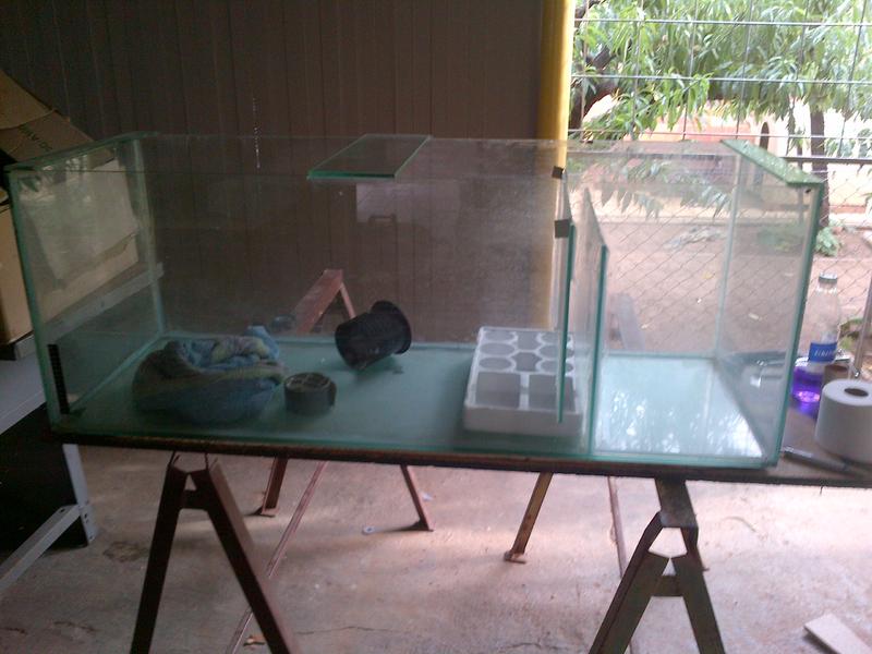 IMG-20121222-00051.jpg