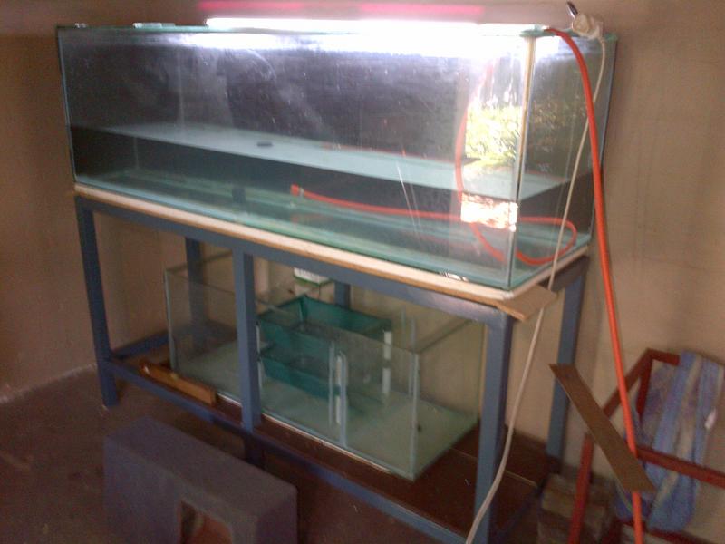IMG-20121227-00064.jpg