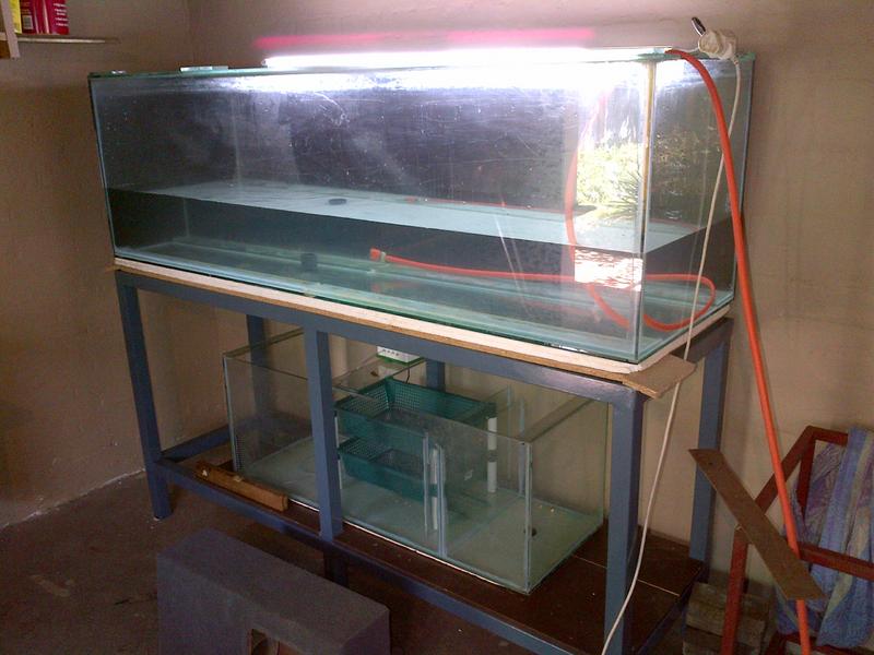 IMG-20121227-00065.jpg