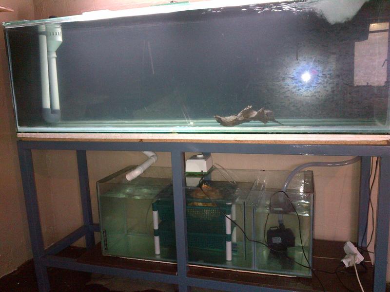 IMG-20121227-00072.jpg