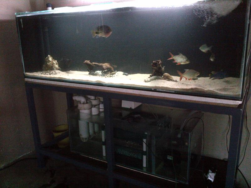 IMG-20130107-00103.jpg