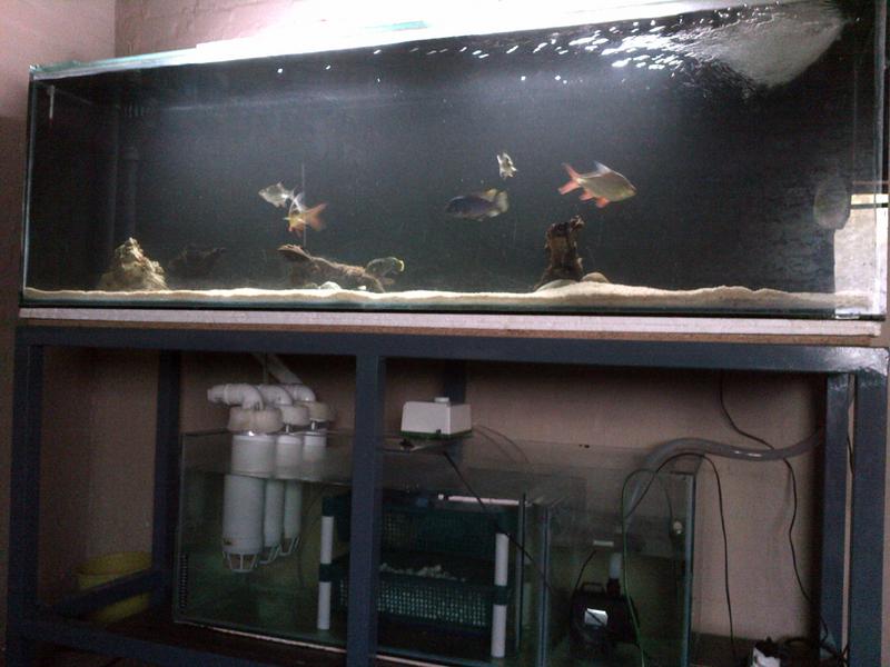 IMG-20130107-00104.jpg