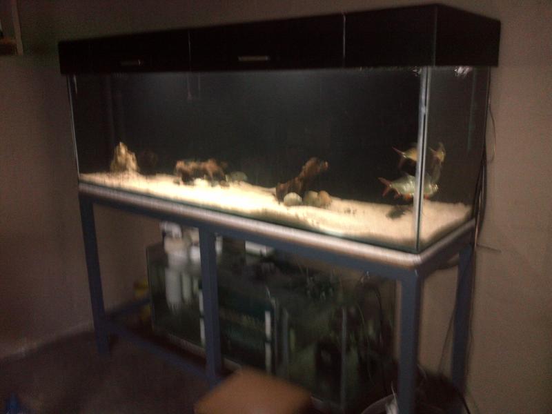 IMG-20130115-00128.jpg