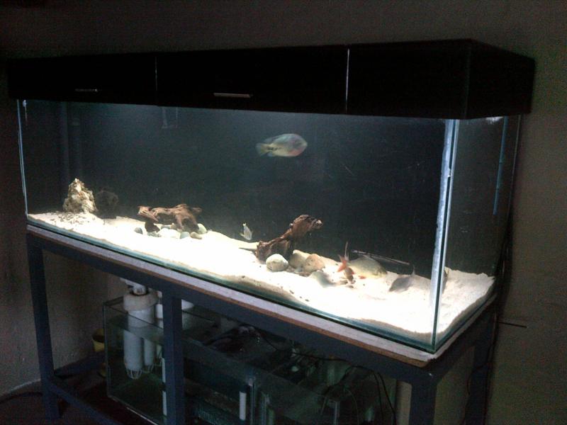 IMG-20130115-00131.jpg