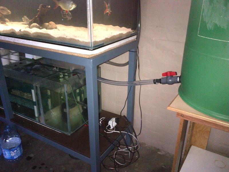 IMG-20130123-00155.jpg