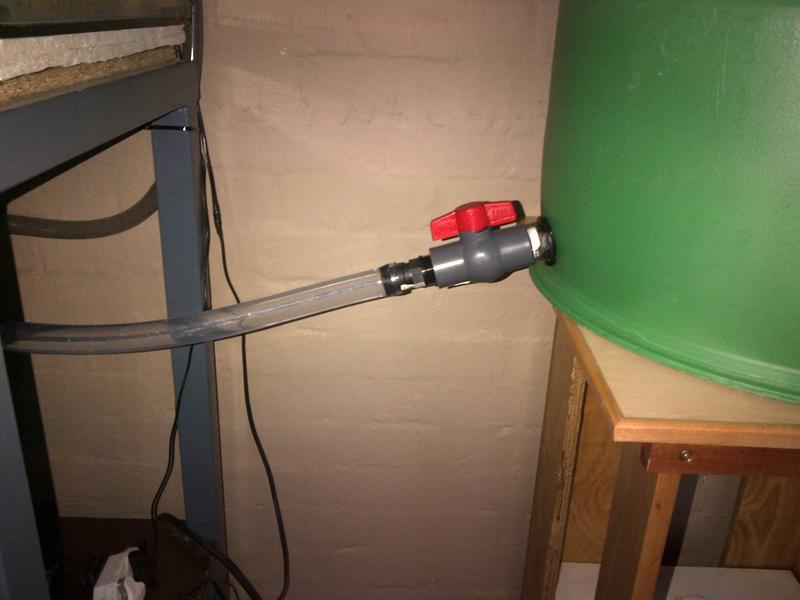 IMG-20130123-00157.jpg