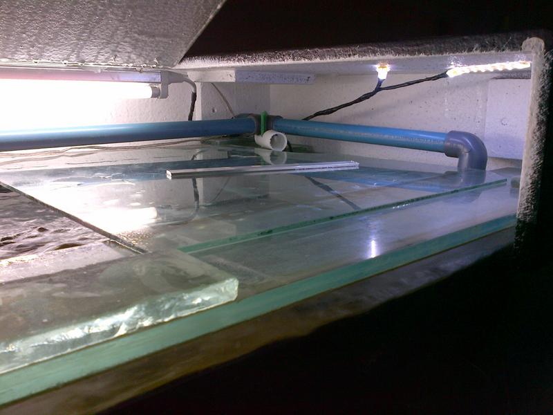 IMG-20130311-00226.jpg