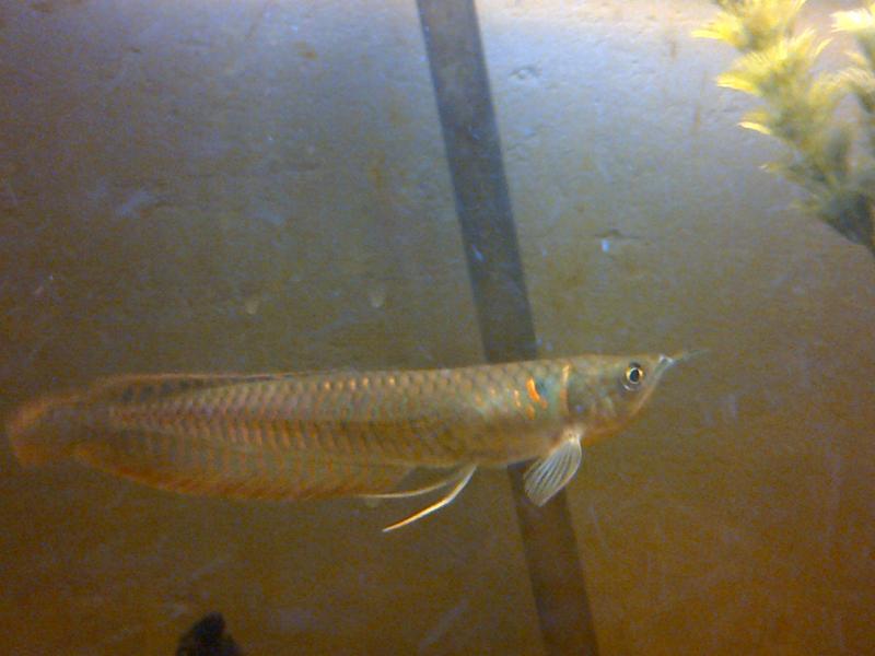 IMG-20130318-00035.jpg