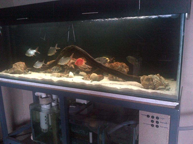 IMG-20130421-00267.jpg