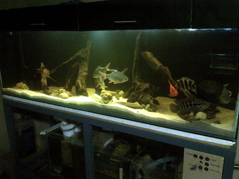 IMG-20131010-00534.jpg