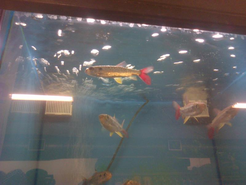 IMG-20140426-00606.jpg