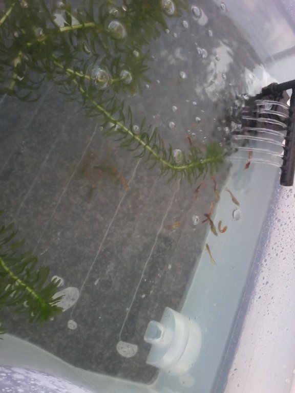 IMG-20190130-WA0002.jpeg