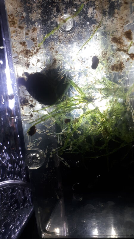 IMG-20201029-WA0032.jpeg