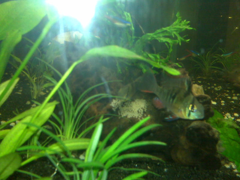 IMG00056.jpg