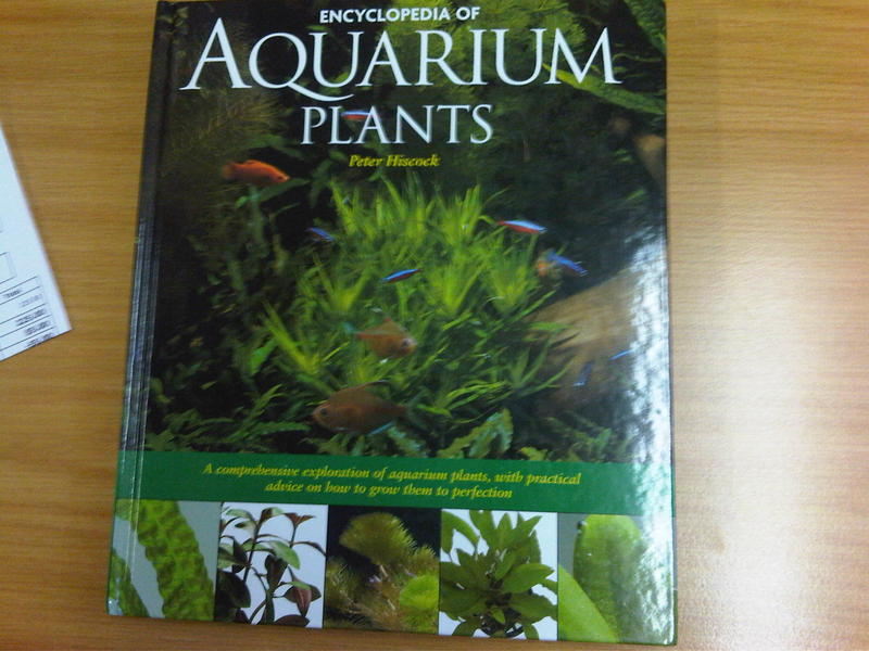IMG00273-20110318-1224.jpg
