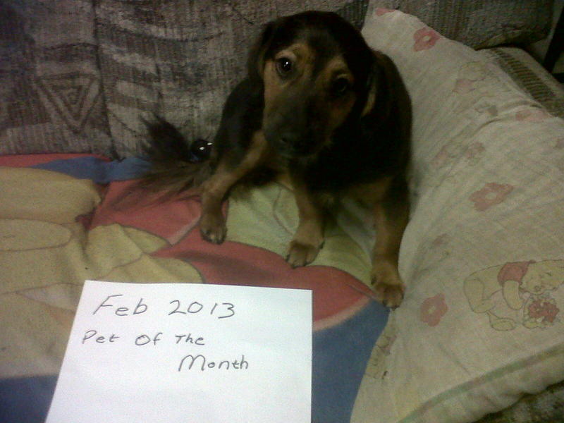 IMG00427-20130130-2056.jpg