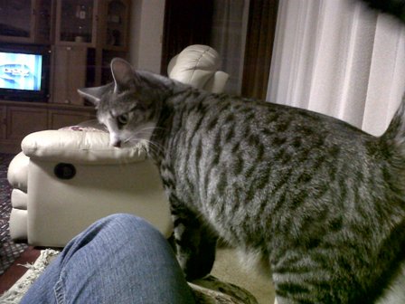 IMG00511-20120417-1830.jpg