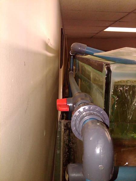 IMG00941-20120920-1552.jpg