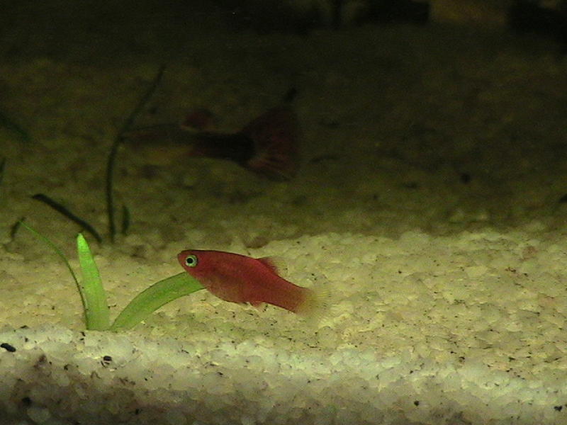 IMG_0445.jpg