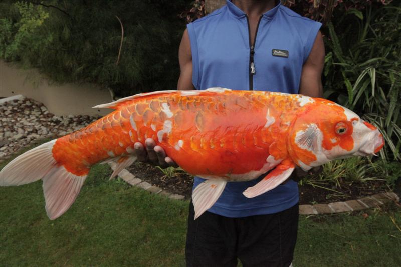 IMG_0495 (Medium).JPG