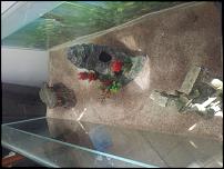 IMG_20121109_161038.jpg