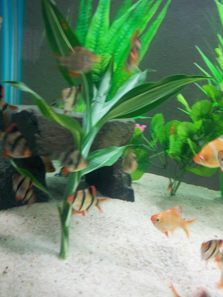 IMG_20130120_170948.jpg
