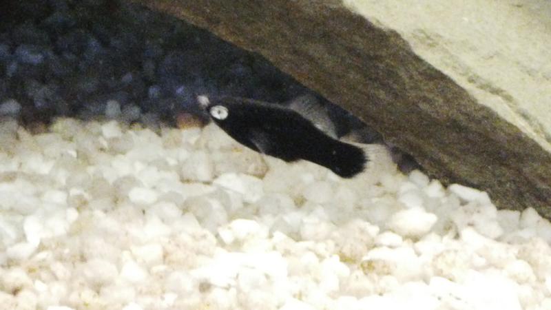 IMG_20150409_172759.jpg
