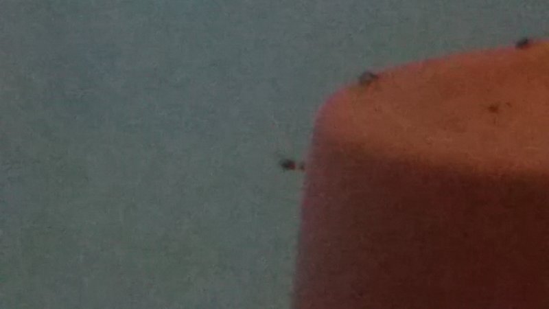 IMG_20170321_104752.jpg