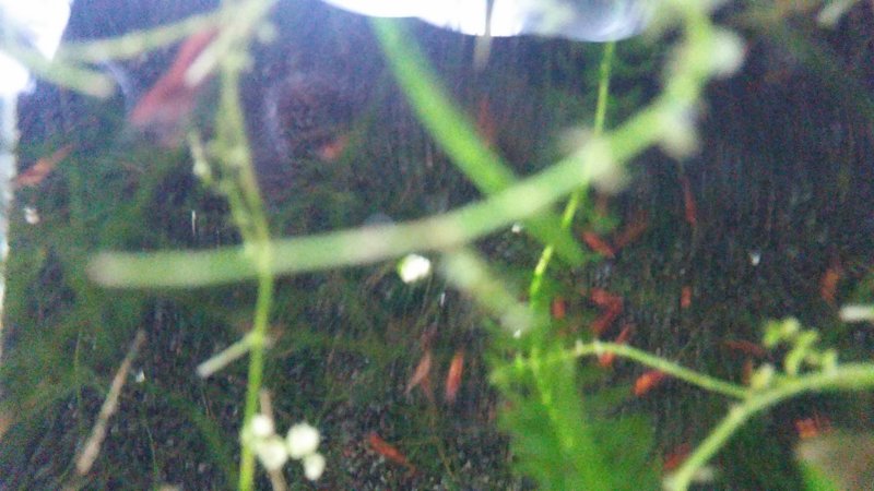 IMG_20170506_101835.jpg