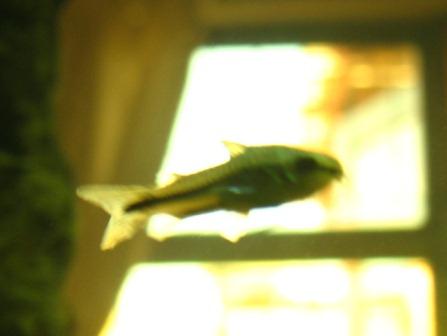 IMG_8034.JPG