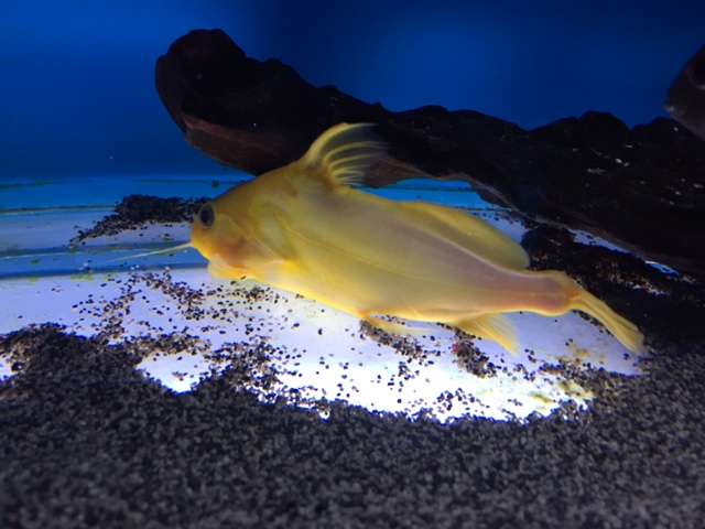 IMG_8075.JPG