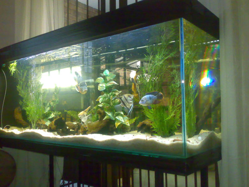 inside2.jpg