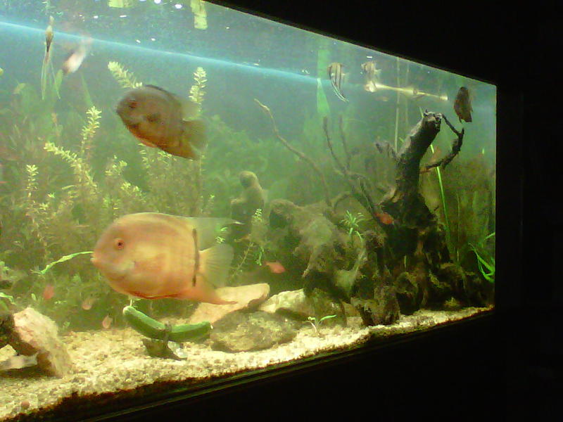 Johannesburg-20120205-00364.jpg