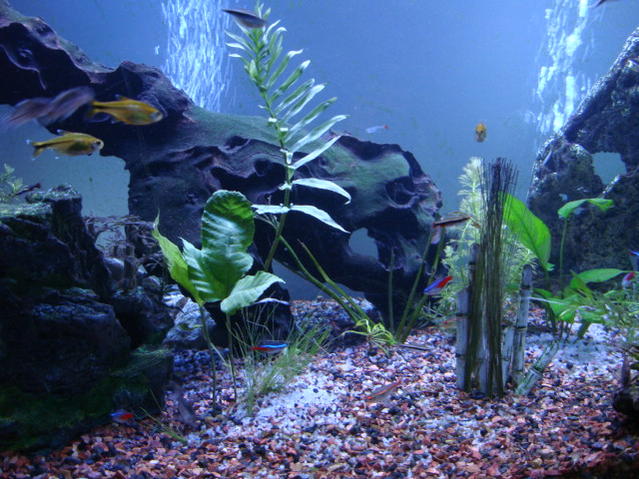 June 09 548.jpg