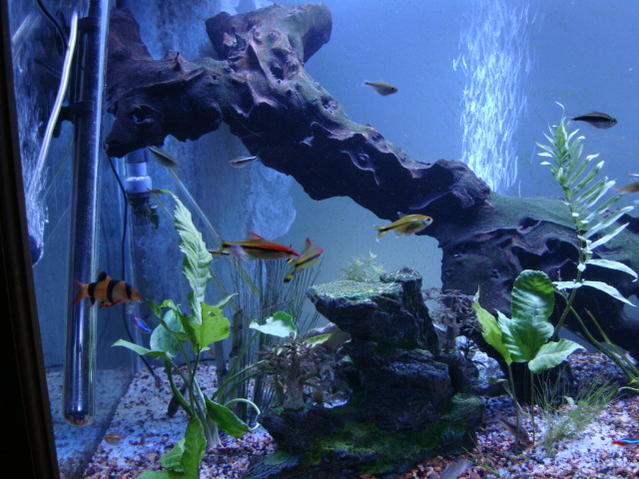 June 09 549.jpg