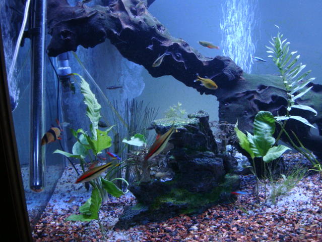 June 09 550.jpg