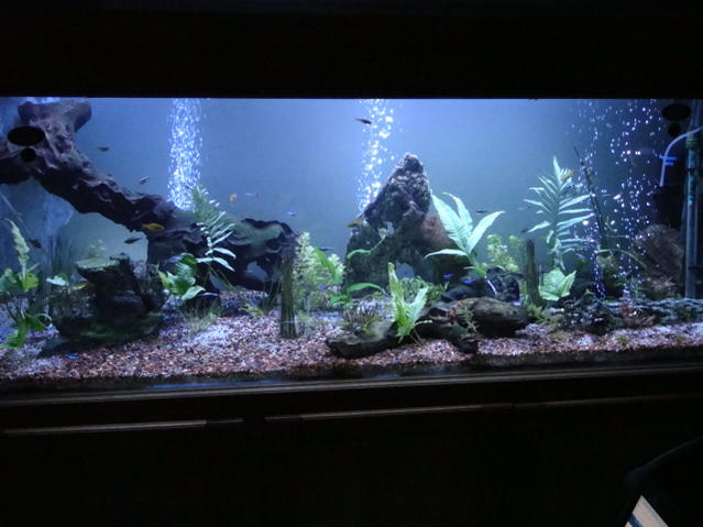 June 09 552.jpg