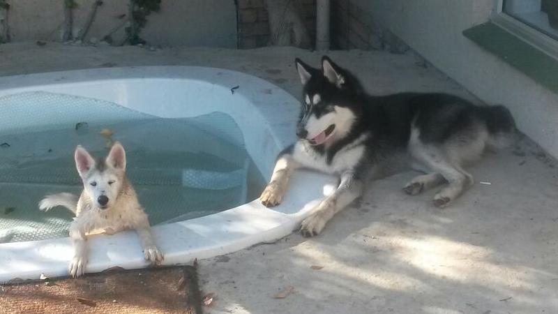 Leyla_and_max[1].jpg