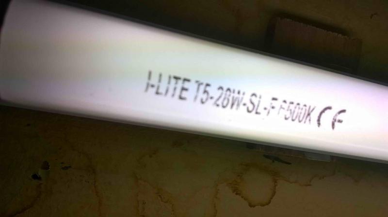 Light.jpg