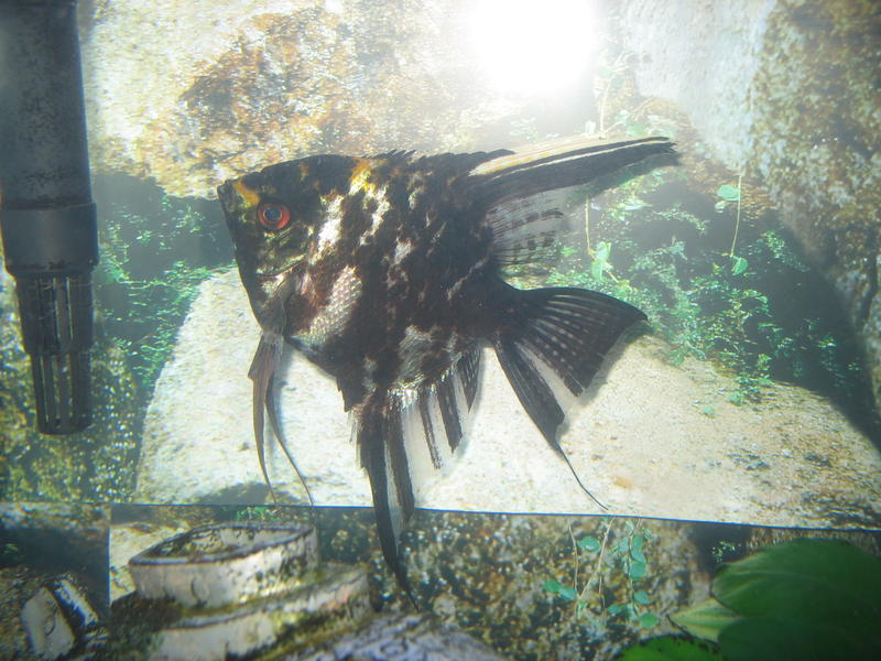 Misc 067.jpg