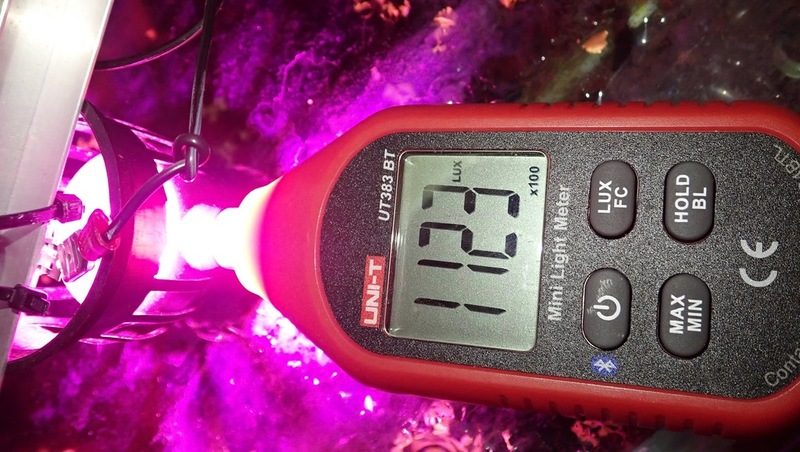 Mk6p2roTLt8D_989bpgBZempkAexBePisoOIbVqVKWctpk3fHD-9nbuLSdkcYdm_ciuljflU56sgWzg9Q=w2200-h1241-no.jpg