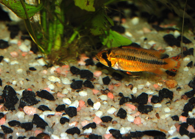Mom and babes0001.jpg