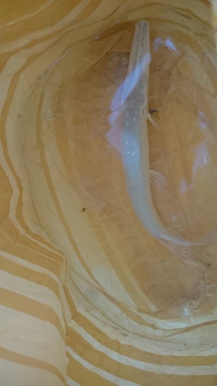 new today 12 021.jpg