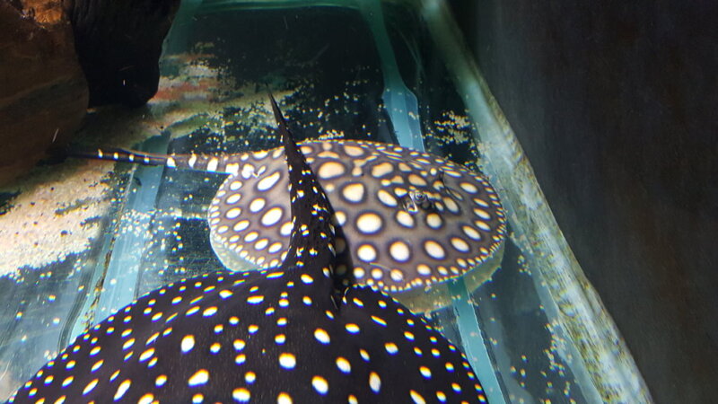 new today 12 081.jpg