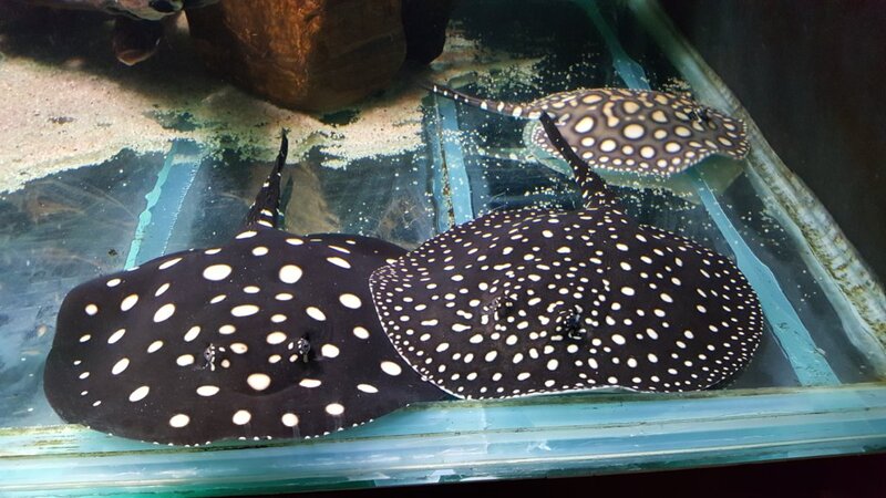 new today 12 082.jpg