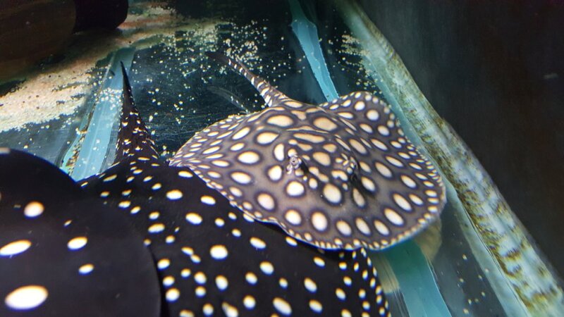 new today 12 083.jpg