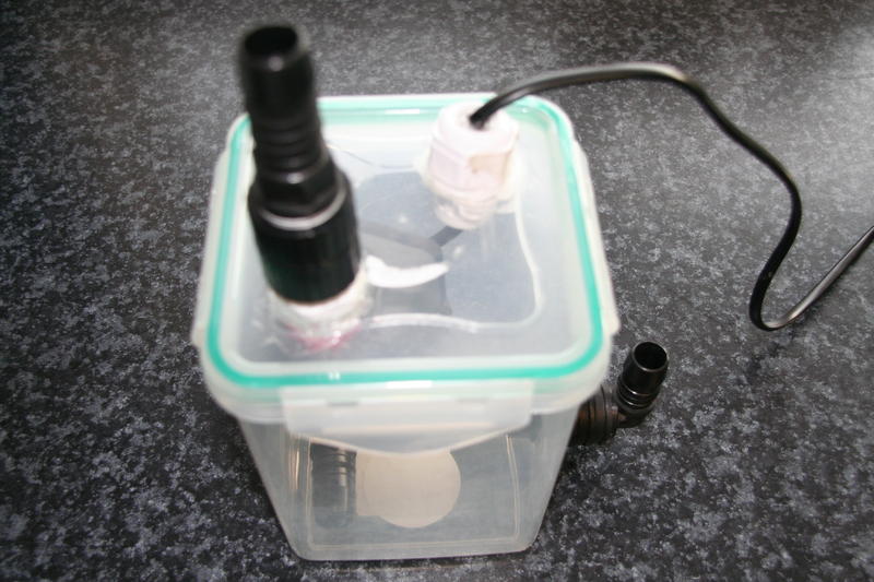 New Years 2012 018.jpg