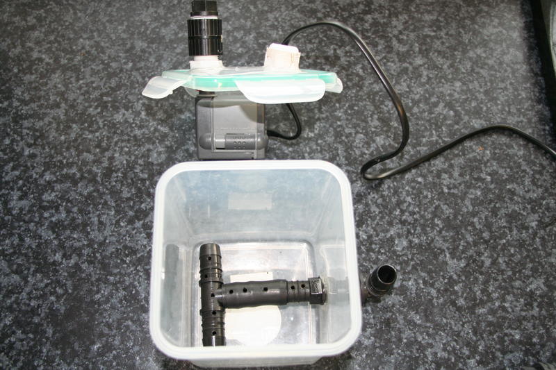 New Years 2012 021.jpg