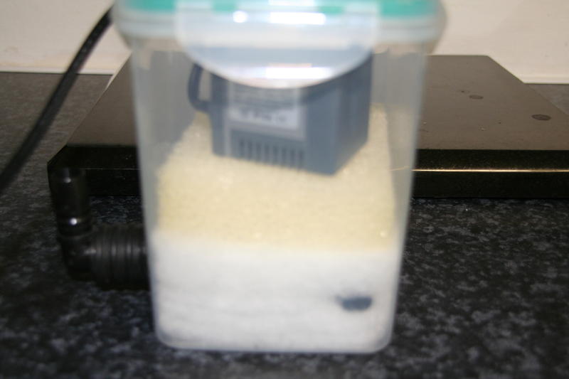 New Years 2012 023.jpg