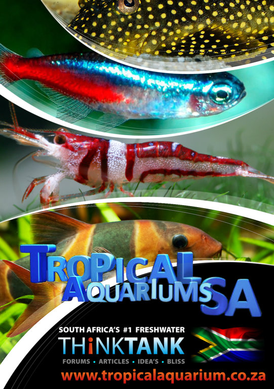 NEW_ADVERT 2.jpg